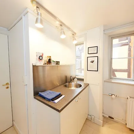Magstraede Central Ii Apartment *